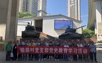 情系家乡人 感受魅力新重庆--8868体育平台集团赞助插腊村党史学习活动