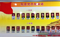 8868体育平台集团党委开展党员承诺活动